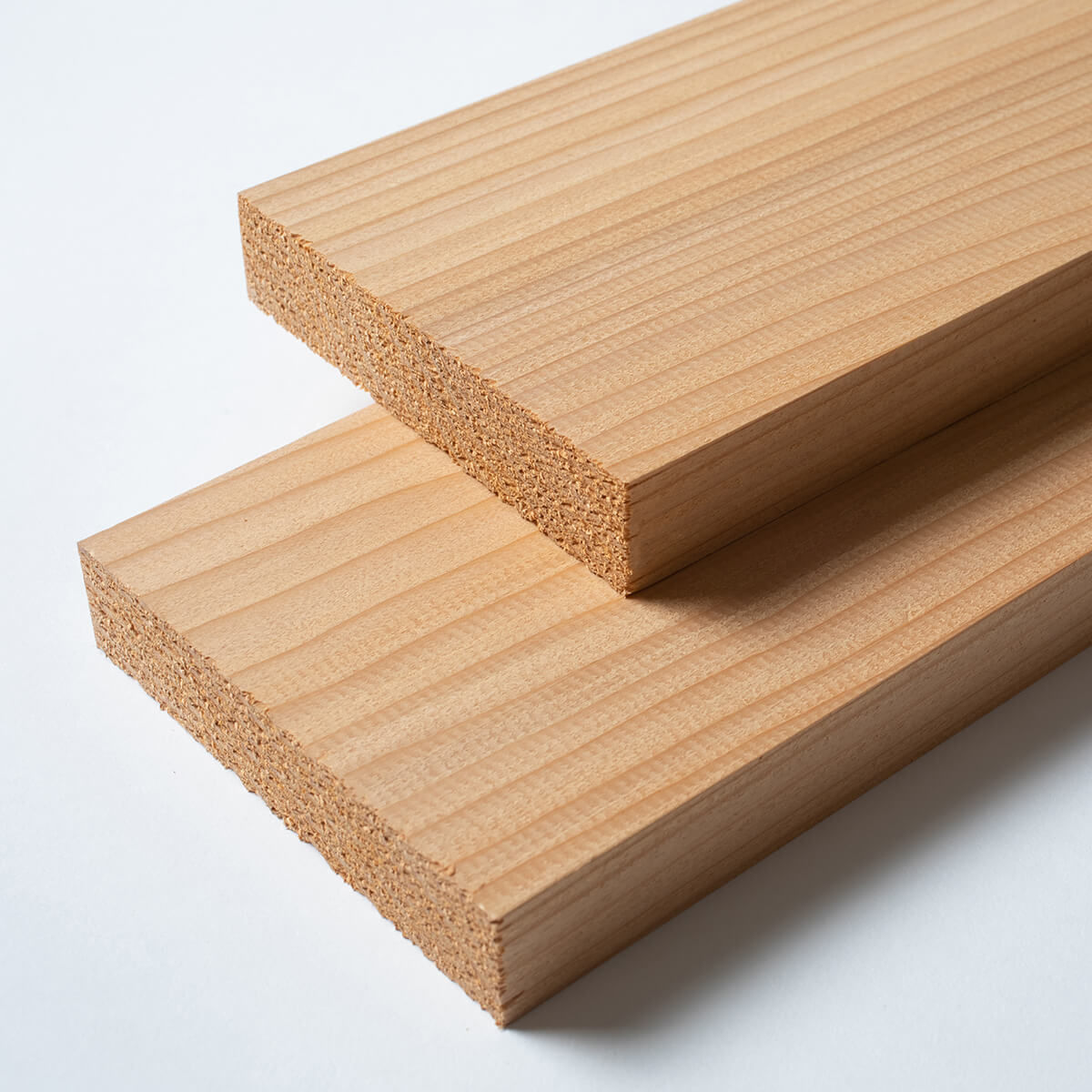 Sample Beech Wood